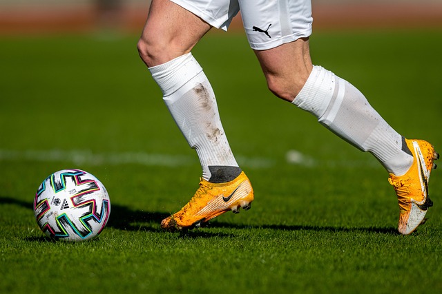 彩的发挥和 彩的发挥和